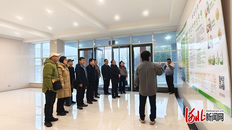 河北省生猪创新团队:部署2026年度重点工作,推动产业高质量发展实现新突破 河北省生猪创新团队:部署2026年度重点工作,推动产业高质量发展实现新突破