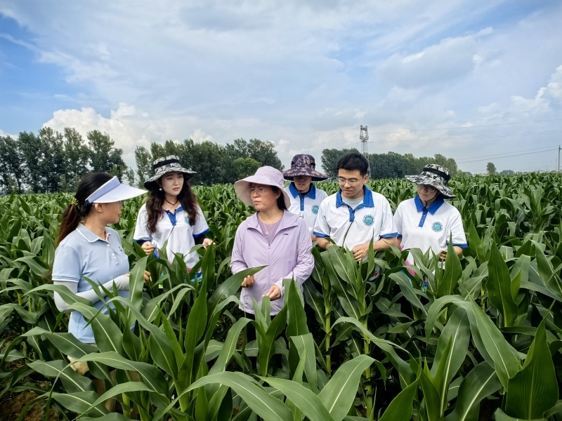 116���Ƽ�СԺ�������ȫ������